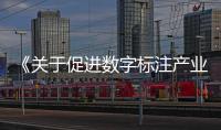 《关于促进数字标注产业高品质发展的实施意见》的特点与影响解析